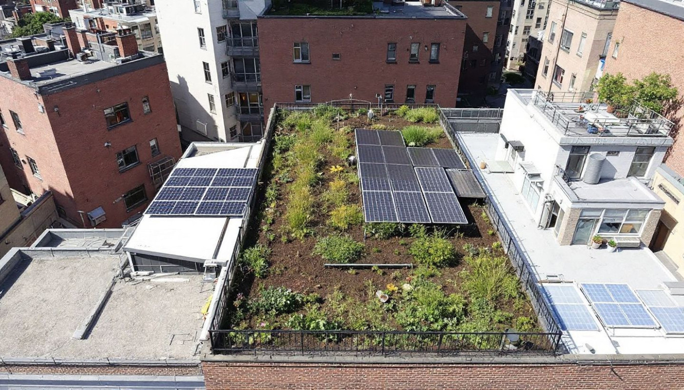 Améliorer l'efficacité énergétique de votre maison par la rénovation de toiture